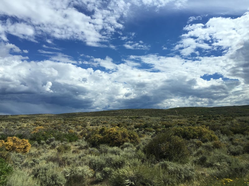Colorado Countryside