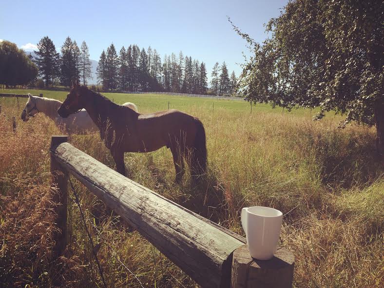 "18 years to the farm; 20 acres God set aside for us" by Maggie Eisenbarth (CatholicMom.com)