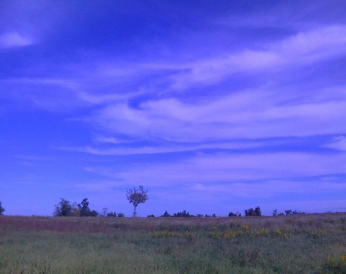 Copyright 2011 Lori Hadorn-Disselkamp