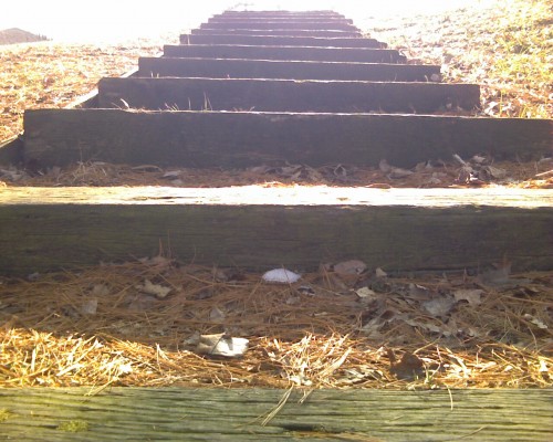What's at the top of the steps? Copright Lori Hadorn-Disselkamp