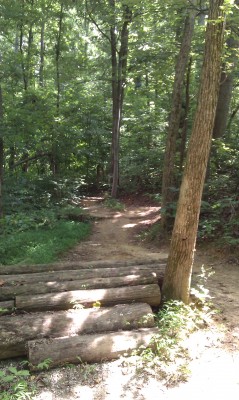 My Mountain Biking Experience