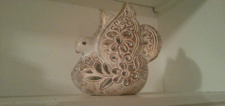 Peace Dove