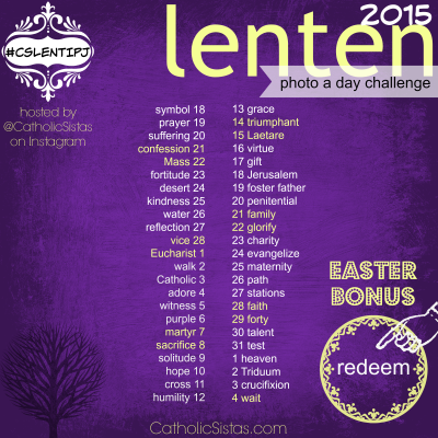 CSLENTIPJ, CatholicSisats, 2015, Used with Permission  