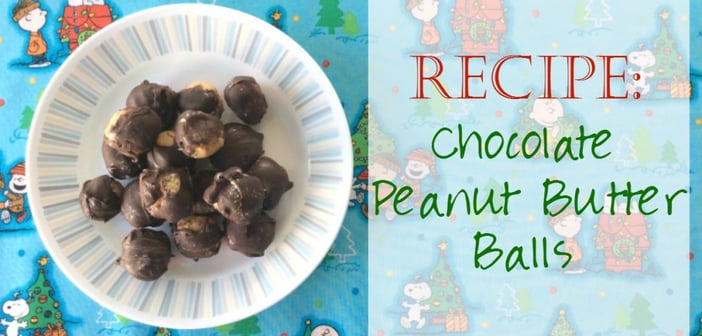 Faith and Fabric - Chocolate Peanut Butter Balls