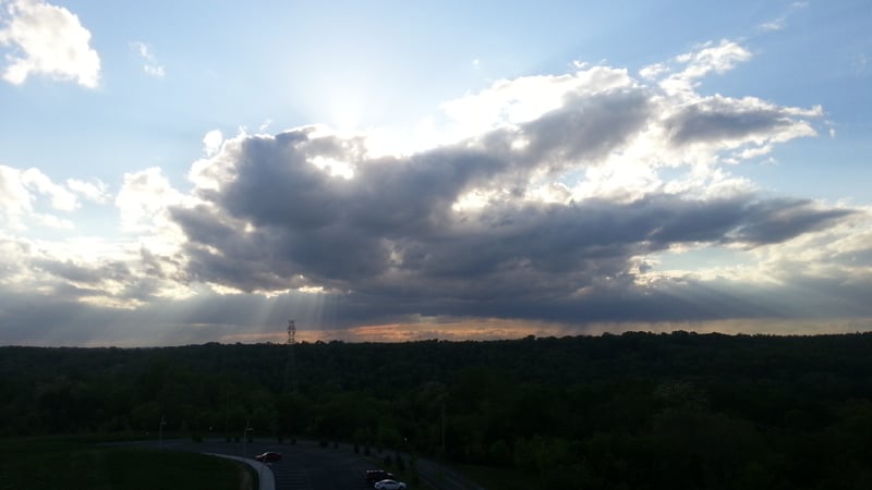 "Children of the Light" by Lori Hadorn-Disselkamp for CatholicMom.com