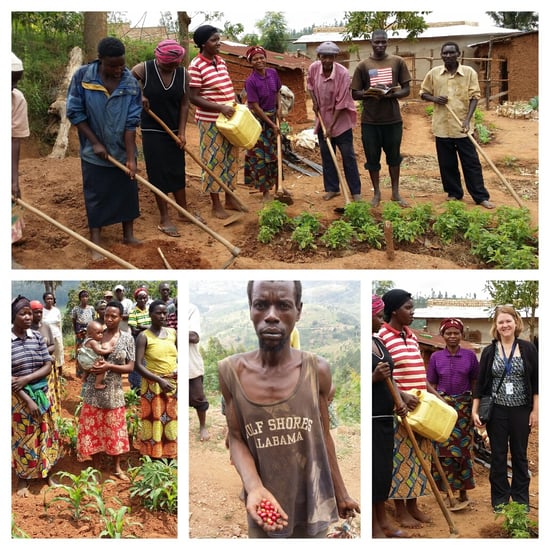 Huje Green Mountain Coffee Cooperative