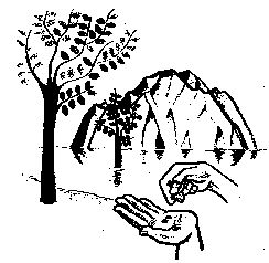 Mustard Seed Faith:  27th Sunday in Ordinary Time, Cycle C