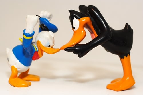 Fowl Play by Elton Harding (2007) via Flickr