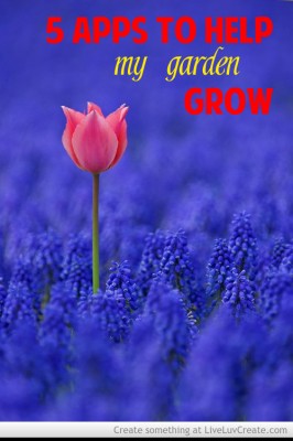 5_apps_to_help_my_garden_grow-332364