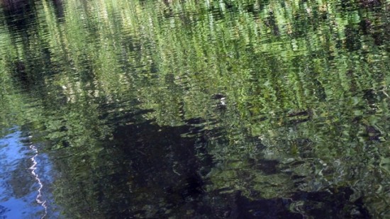 640 reflection1