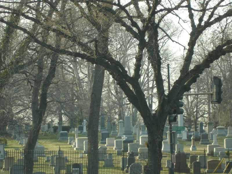 "No Need to Fear Death" by Michael Carrillo (CatholicMom.com)