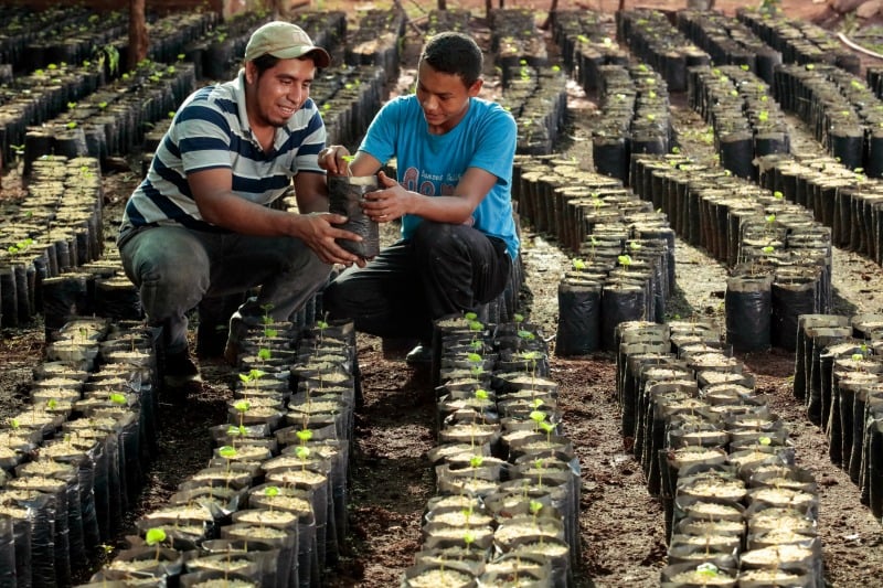 "CRS Photo of the Month: Facing Environmental Challenges" by Catholic Relief Services (CatholicMom.com)