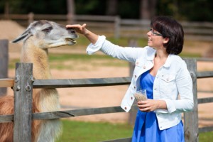 Awakening at the Zoo