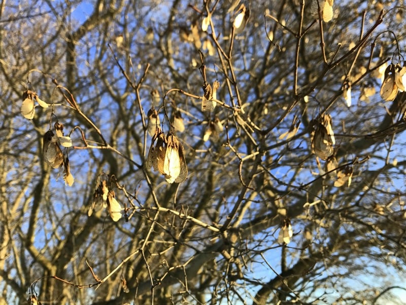 "The Sine Qua Non of Solitude" by Roxane Salonen (CatholicMom.com)