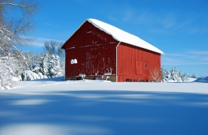 Battling Snow