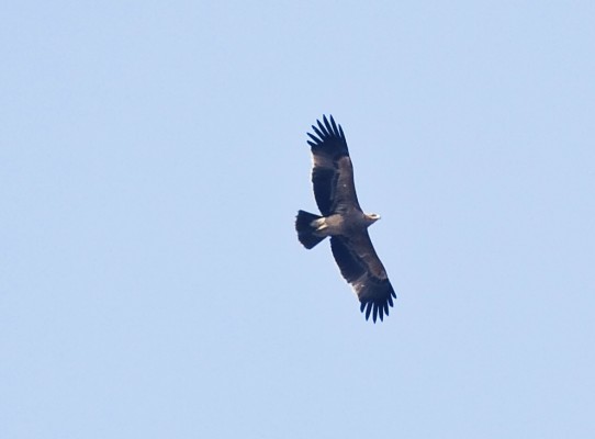 Death: letting go of control and soaring into His presence