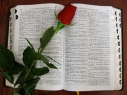 Daily Scriptures Reflection