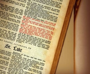 Daily Scriptures Reflection for Saturday