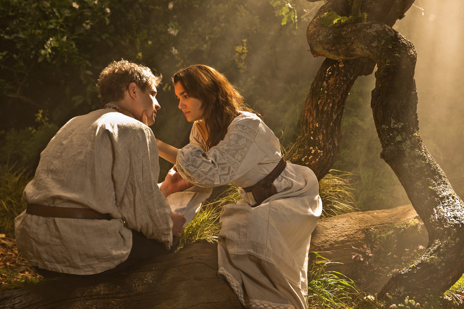 Bitter Harvest A Powerful Story of Freedom, Love, and Art in a Time of