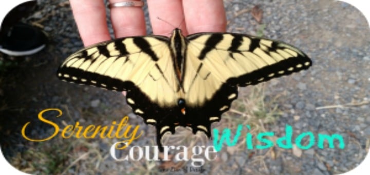 "Have My Past Sins Made Me Who I Am?" by Kimberly Cook (CatholicMom.com)