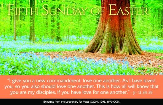 ©2016 Liturgical Publications Inc. All Rights Reserved. Used with permission.