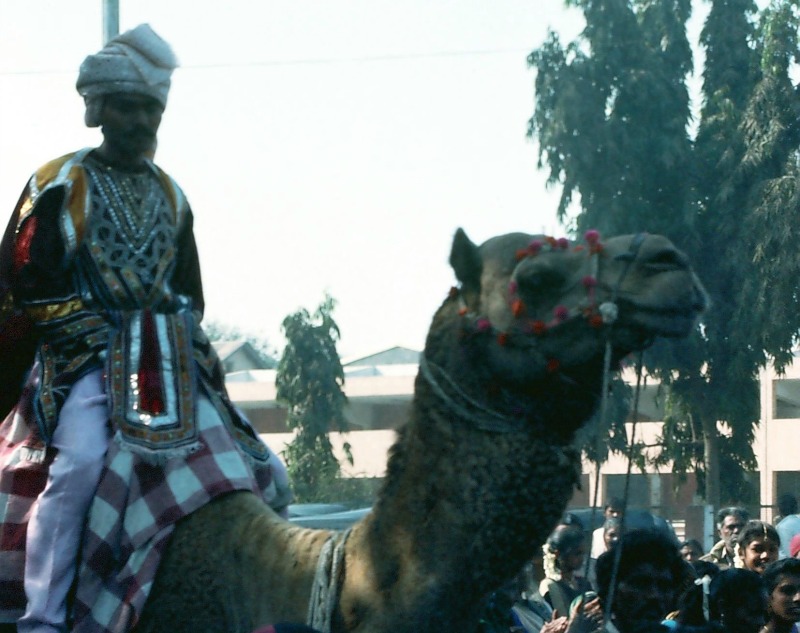 "Little Christmas Around the World" by Kate Daneluk (CatholicMom.com)