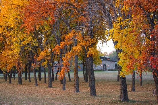 Carmel of Mary monastery, Wahpeton, ND, fall 2012