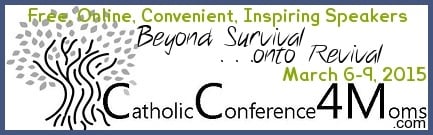 Catholic Conference 4 Moms Banner