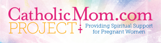 CatholicMomProj banner