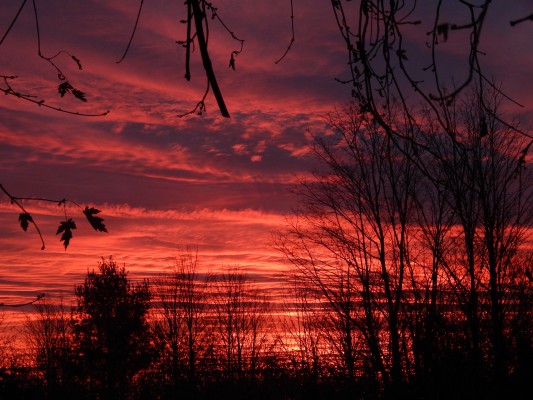 Sky by God, photo by author, all rights reserved.