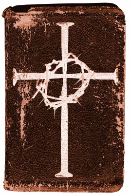 Cradle Catholic Cradle Catholic