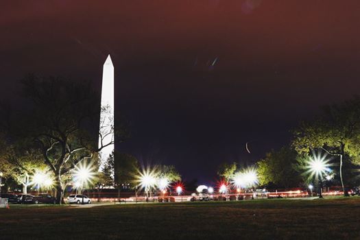 Photo courtesy of David's Tent DC. All rights reserved.