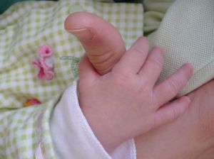 Dealing with the Breastfeeding Debate