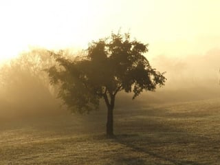 God Doesn’t Love Me Best (and Other Recent Discoveries) 