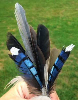 HBratton Feather Bouquet sized 2