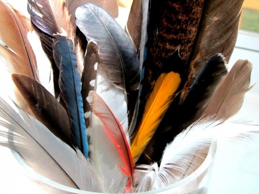 HBratton Feathers 4-3