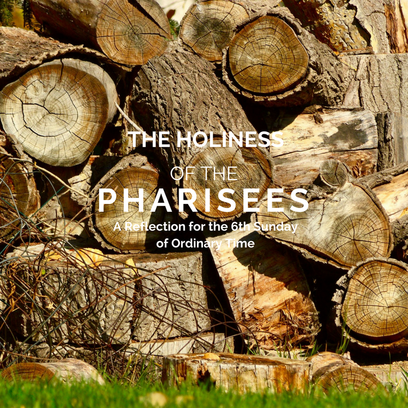 "The Holiness of the Pharisees" by Dr. Marcellino D'Ambrosio (CatholicMom.com)