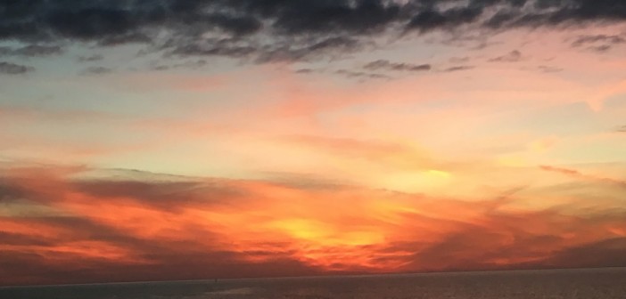 Photo Credit: Judy Klein Copyright 2015. All rights reserved.