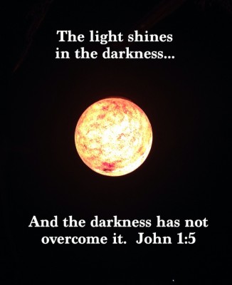 Photo Credit: Judy Klein copyright 2015/ All Rights Reserved