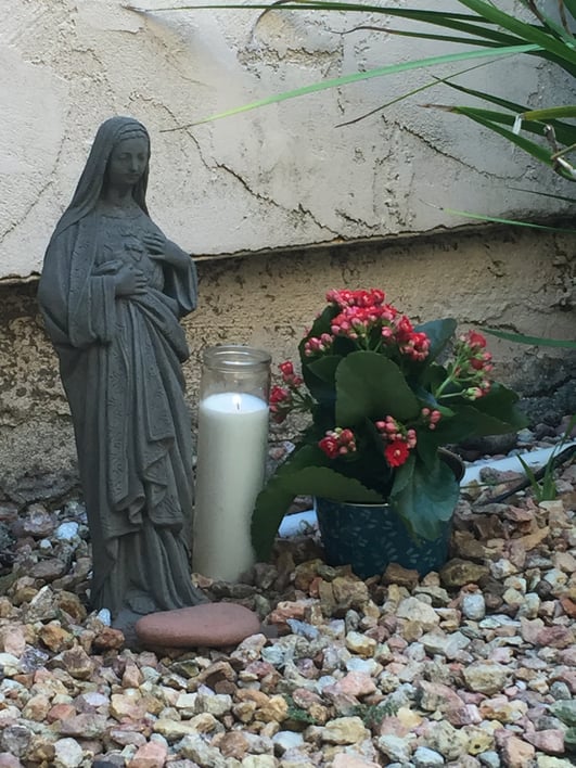 The Immaculate Heart of Mary