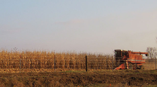 Iowa_harvest_2009
