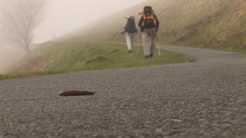 Image courtesy of "Walking the Camino", used with permission