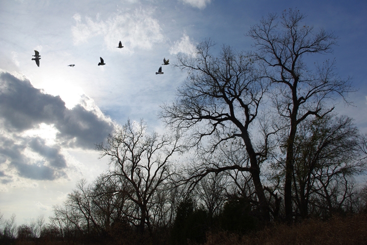 Jerry Worster November sky Flickr Creative Commons