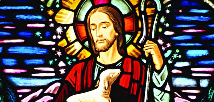 Jesus shepherd