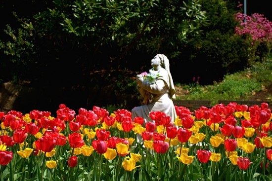 Photo copyright by John Clem