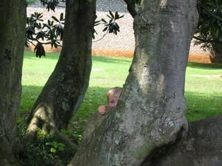 Josh behind a tree