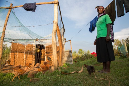 Mary Atieno Onyango outside her chicken coop in Western Kenya. Mary uses how she lives her life as model for positive living in her community. She makes sure that all of her property is well kept and she always follows what she teaches. Photo by Sara A. Fajardo/CRS