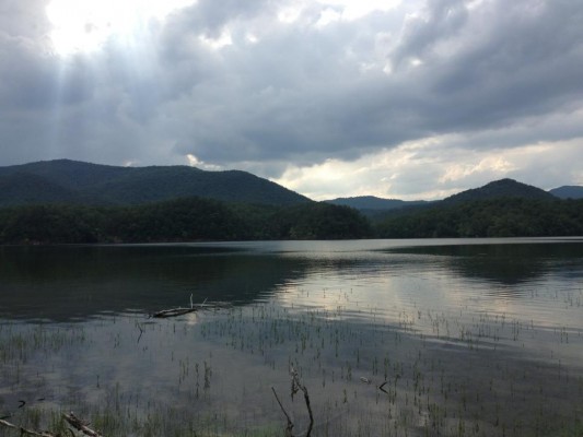 Lake Miscarriage Part I