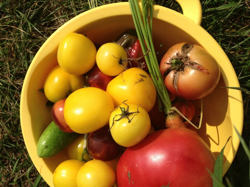 "Meatless Friday: Easy Slow-Cooker Ratatouille" by Stephanie Landsem for CatholicMom.com