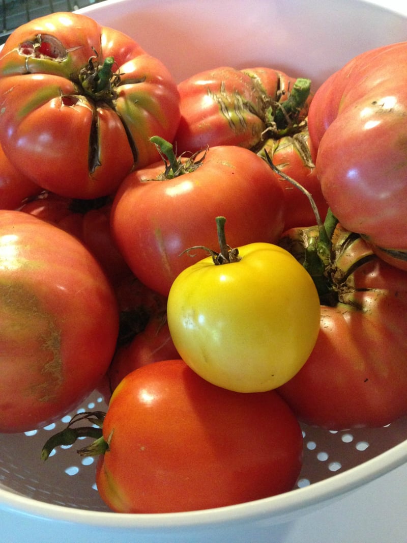 "Meatless Friday: Easy Slow-Cooker Ratatouille" by Stephanie Landsem for CatholicMom.com